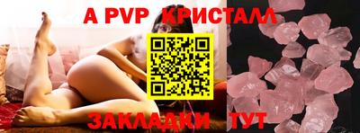 ешки Кингисепп