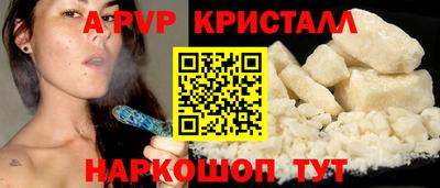 ешки Кингисепп