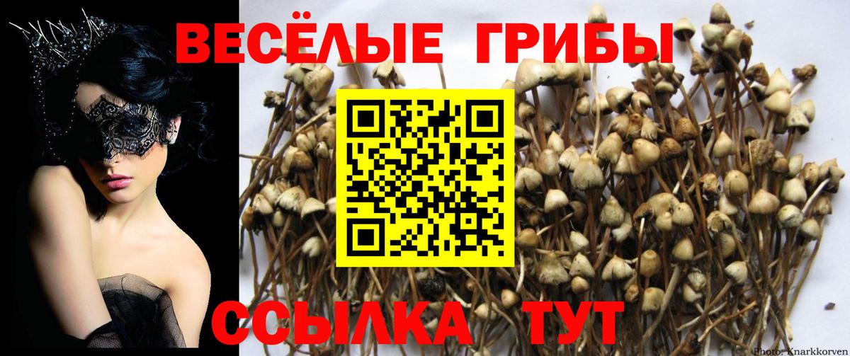 Псилоцибиновые грибы Magic Shrooms  Галлюциногенные грибы ЛСД  наркота  Кубинка  Вход с VPN 