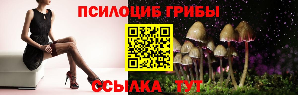 Псилоцибиновые грибы GOLDEN TEACHER Кубинка